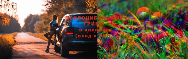 экстази Балахна