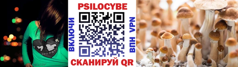 Псилоцибиновые грибы Psilocybine cubensis  сколько стоит  Лесозаводск 